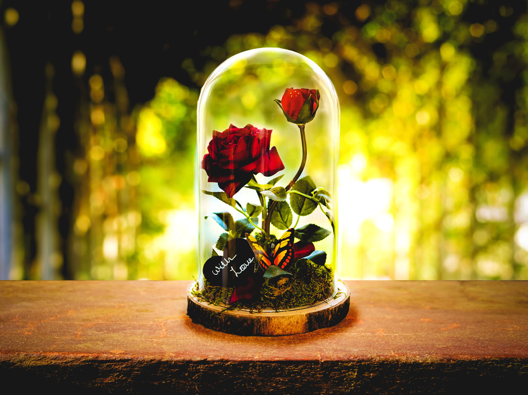 Beauty and the beast rose in glass dome