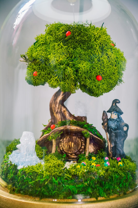 Moss terrarium  fairy garden kit RishStudio